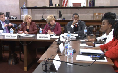 State Senate Committee Discusses Ways to Prevent Street Harassment