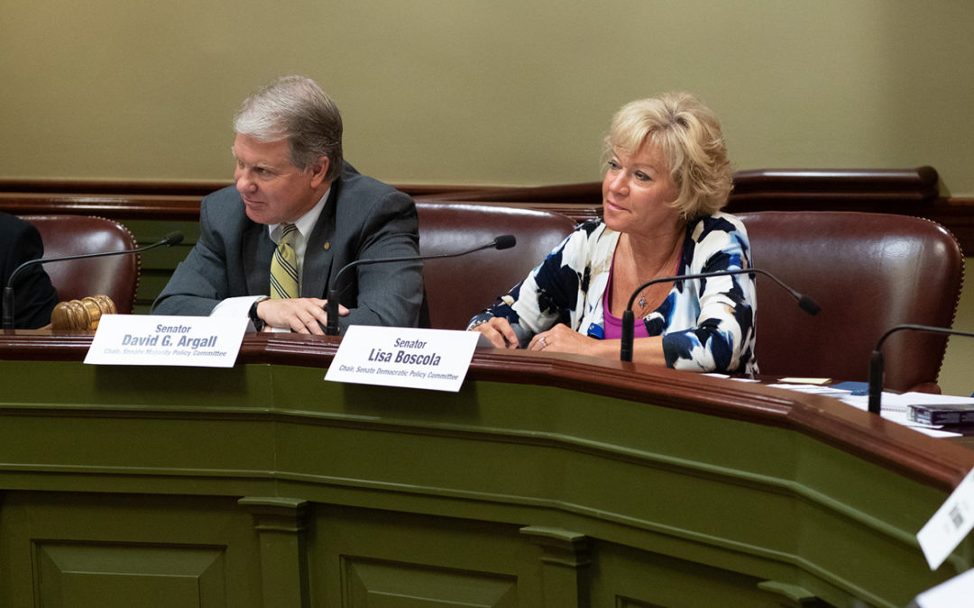 Joint, Bipartisan Senate Committees Discuss Possible School District Consolidation