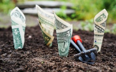 Boscola Announces Urban Agriculture Grants for Easton Organizations