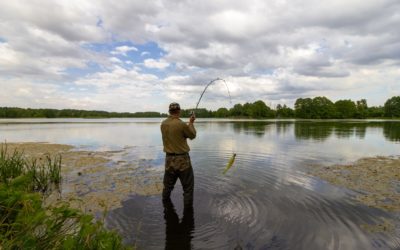 Senator Lisa Boscola Announces 2020 Fishing Licenses, Permits and  Gift Vouchers to go on Sale December 1st