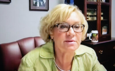 Democratic Lawmakers Host Hearing on Electricity Outages, Reliability, and Preparedness