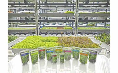 Boscola Announces Largest Vertical Farming Company in US  to Expand Operations to Bethlehem