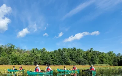 Boscola Announces Nearly $2 Million in Park, Trail & Conservation Grants for Seven Northampton County Projects