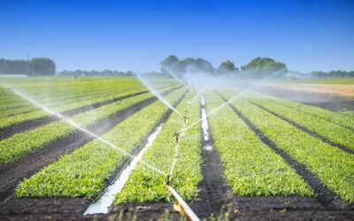 Boscola Announces $150,607 in Agricultural Innovation Grants for 2 Northampton County Projects